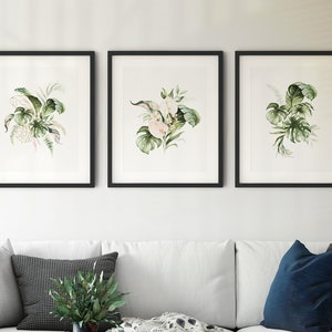Set of 3 Botanical Prints 3 Piece Botanical Wall Art Watercolour ...