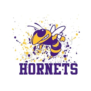 Hornets Purple and Gold png file, school spirit designs, Digital Design, PNG image, sublimation design, sports designs