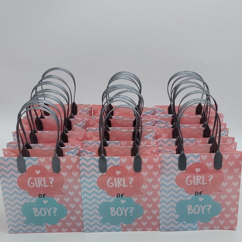 12 Boy or Girl Gender Reveal Bags Favor Bags Candy Bags Etsy