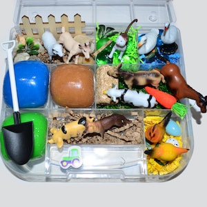 Farm Sensory Playdough Kit, Sensory Bin, Montessori, Busy Box, Sensory Kit, Sensory toy, Play dough Kit, Gifts for kids