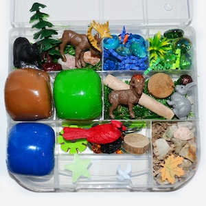 Nature Wild Life Playdough Kit, Sensory Bin, Montessori, Busy Box, Sensory Kit, Play-doh kit, Sensory toy, Play dough Kit, Gifts