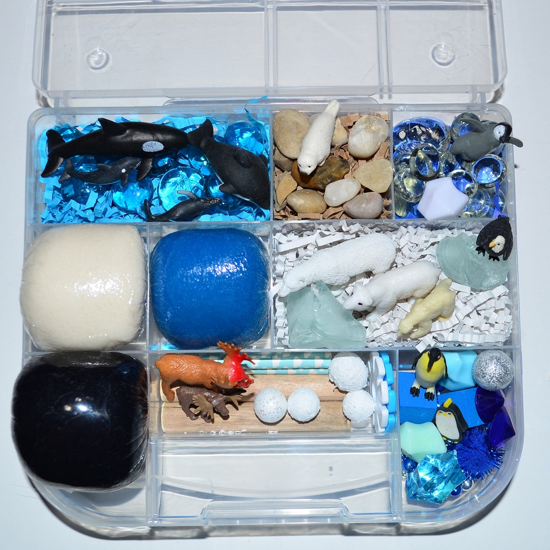Arctic Animal Fun Sensory Playdough Kit, Sensory Bin, Montessori, Busy ...