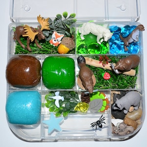 Woodland/Wild Life Playdough Kit, Sensory Bin, Montessori, Busy Box, Sensory Kit, Play-doh kit, Sensory toy, Play dough Kit, Gifts for kids