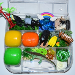 Tropical Rainforest/Nature Playdough Kit, Sensory Bin, Montessori, Busy Box, Sensory Kit, Play-doh kit, Sensory toy, Play dough Kit, Gifts