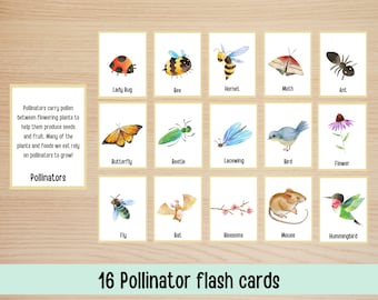 Watercolor Pollinator Flash Cards: Matching Game & Scavenger Hunt (PDF)