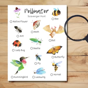 Pollinator Scavenger Hunt Printable for instant download, Outdoor nature activity for kids and adults