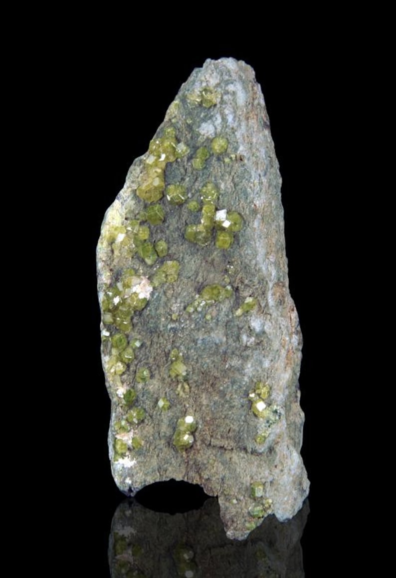 Andradite var. Topazolite xx - Roch Neir, Balme, Piemonte, Italia ...