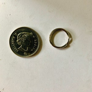 Peut inclure: Une pièce de monnaie argentée avec le profil d'une femme et l'inscription "ELIZABETH II D.G. REGINA" à côté d'un porte-clés argenté. La pièce est ronde et a un bord détaillé. Le porte-clés est un cercle simple.