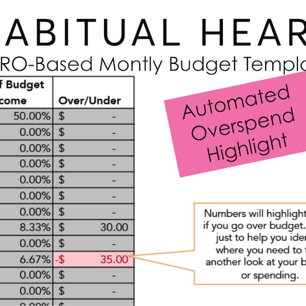 Monthly Zero-Based Budget | Debt-Free Journey| Digital Budget Tracker | Excel | Google Sheets Compatible