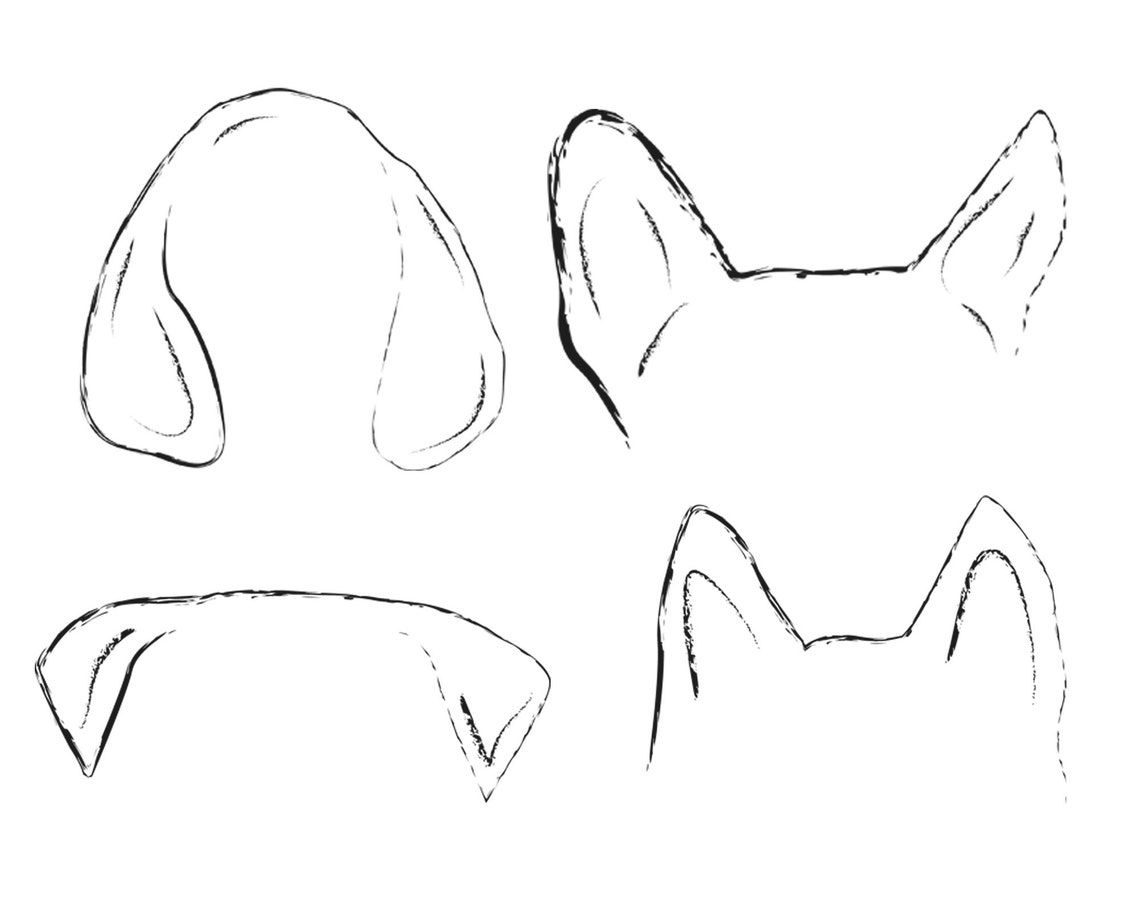 Dog Ear Outline PNG Dog Tattoo Design Pet Ears Bundle for Etsy Australia