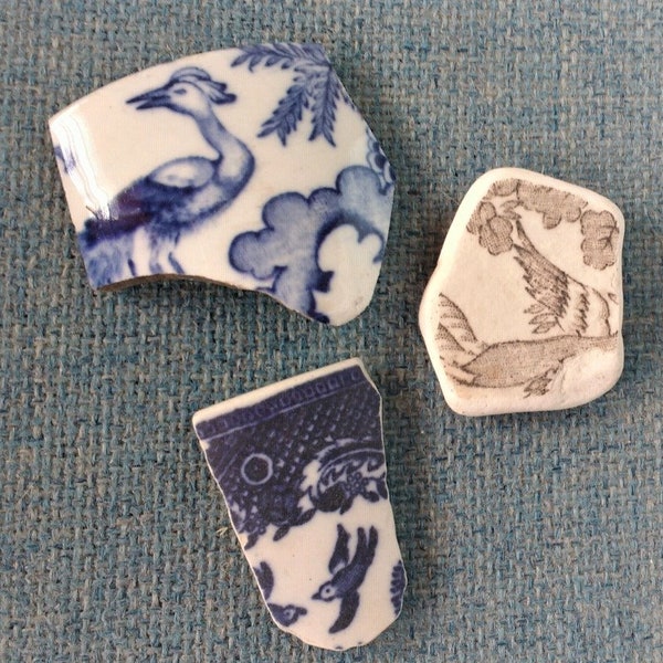 Scottish Sea Pottery Bird Shards, Scottish Beach Finds, Collectable ceramics, Mosaics, Beach Crafts, Craft supplies, Jewellery Supplies