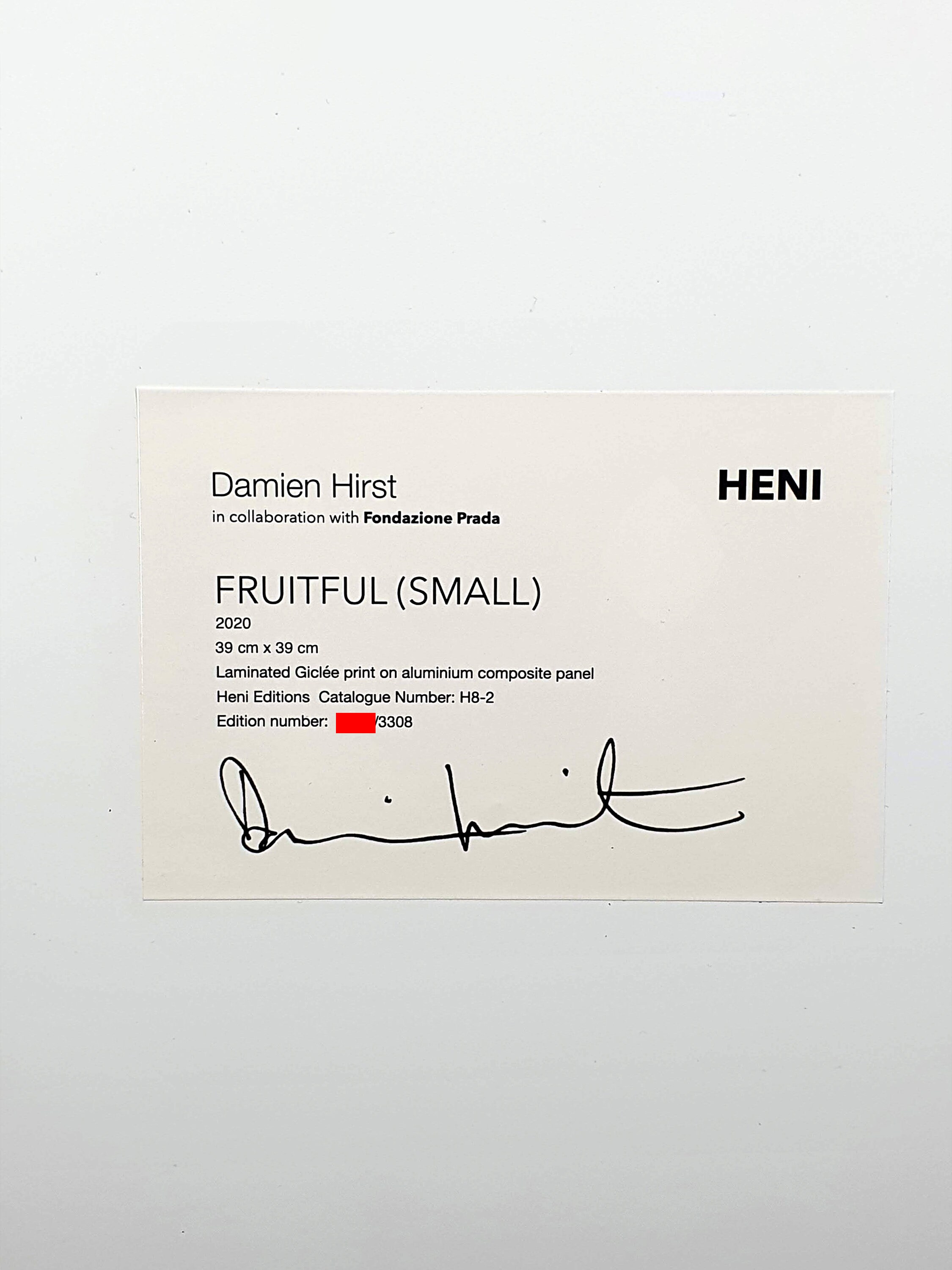 Damien HIRST ORIGINAL FRUITFUL 2020 Small H82 2020 Etsy UK
