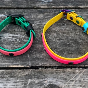 Adjustable Dog Collar with Chrome, Rose Gold, Black, Rainbow, Brass, Stainless Steel, 3/4“ with 1/2&quot; Biothane, Two Tone,Custom Colours/Sizes