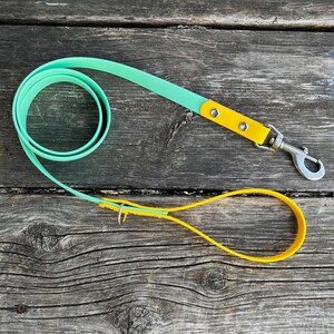 Hundeleine mit Edelstahl-Hardware, 3/4 &quot;Breite wasserdichte Biothane-Leine, benutzerdefinierte Farben und Druckknöpfe, Nickelfrei