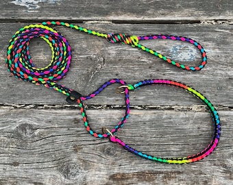 Paracord All-in-one Martingale Guinzaglio Combo con Tappo Biothane, Nichel, Oro Rosa, Nero, Arcobaleno, Ottone, Acciaio Inossidabile O Ring, Colori Personalizzati