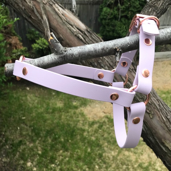 Adjustable Dog Harness with Nickel, Rose Gold, Black, Rainbow, Brass, Stainless Steel, 1/2", 3/4", or 1" Biothane, Custom Colours/Sizes