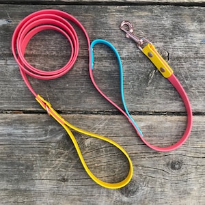 Dog Leash/Traffic Handle with Chrome, Rose Gold, Black, Rainbow, Brass Snap, 3/4&quot; Biothane Waterproof, Custom Colours and Snaps, Nickel Free