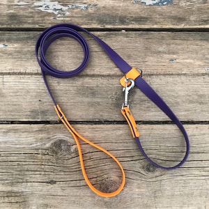 Slip & Clip Biothane Leash with Chrome, Rose Gold, Black, Rainbow, Brass, 1/2", 3/4", 1" Biothane, Custom Colours and Snaps, Nickel Free