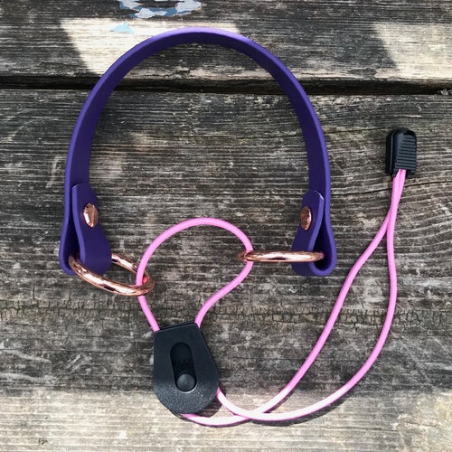 Surefit Med/lrg Ebungee Biothane Dog Collar. Easy on / Etsy