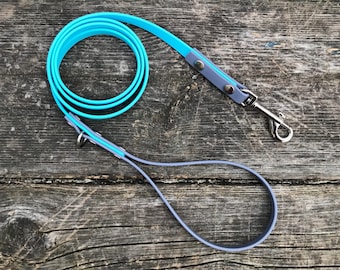 May include: A blue and gray dog leash with a silver clip. The leash is made of a durable material and is perfect for walking your dog.