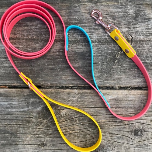 3/8 Custom Biothane Dog Leash Etsy