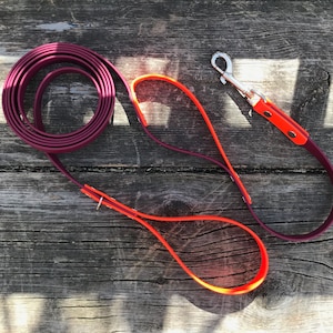 Dog Leash/Traffic Handle with Stainless Steel Hardware, 3/4&quot; Biothane Waterproof, Custom Colours and Snaps, Nickel Free