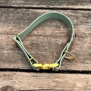 Metal Quick Release/Adjustable Dog Collar with Nickel, Rose Gold, Black, Brass, Rainbow, 1“ Biothane Waterproof, Custom Colours & Sizes