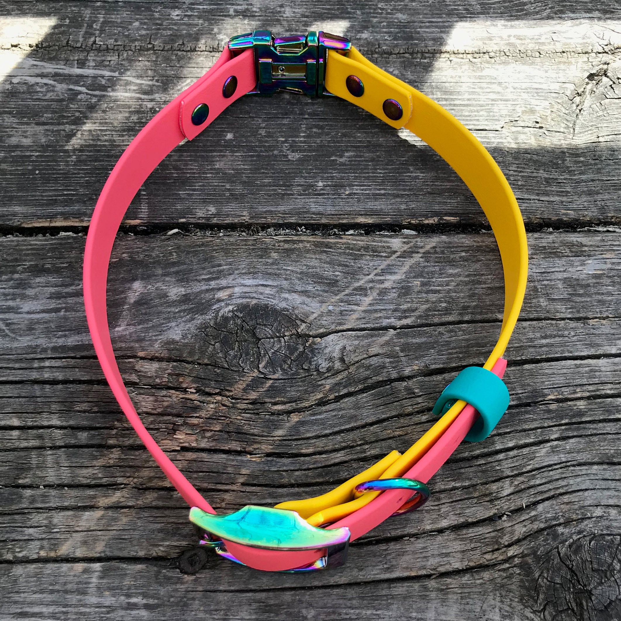 Quick Release and Adjustable Dog Collar with Rainbow Hardware Etsy
