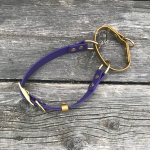 Adjustable Martingale Dog Collar, Nickel, Rose Gold, Black, Brass, Rainbow, Stainless Steel, 3/4&quot; Biothane, Custom Colours/Sizes, NO CHAIN