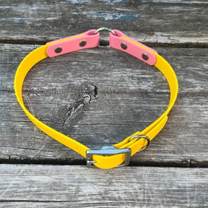Adjustable Dog Collar with Nickel, Rose Gold, Black, Brass, Rainbow, Stainless Steel, 1“ Biothane, Custom Colours & Sizes, Two Tone, O Ring