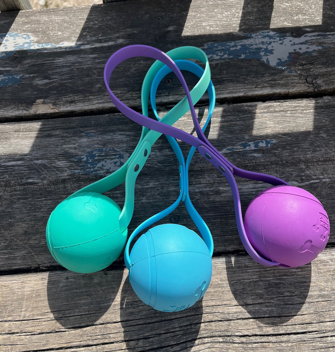 Ball Launcher in 1/2” or 3/4” Biothane With Chicago Screws, Easily Add ...