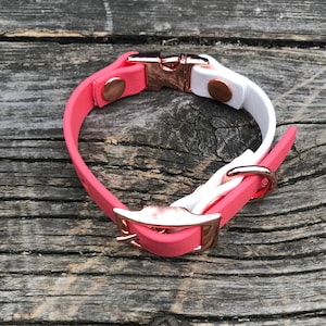 Quick Release and Adjustable Dog/Cat Collar with Black, Nickel, Rose Gold, Brass Hardware, 1/2“ Biothane Collar, Custom Colours, Nickel Free