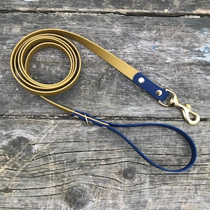 Hundeleine mit Messingdruckknopf, wasserdichte 3/4 &quot;Breite Biothane-Leine, benutzerdefinierte Farben und Druckknöpfe, Nickelfrei