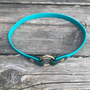 Op de afbeelding: Een turquoise blauwe hondenriem met een gouden metalen ring en donkergroene lederen accenten.