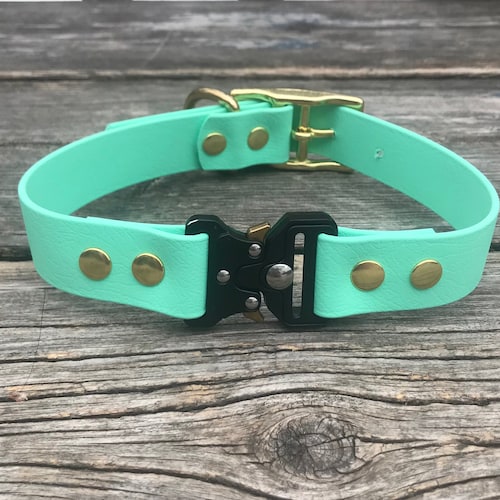 Custom Cobra Buckle Biothane Dog Collar Etsy