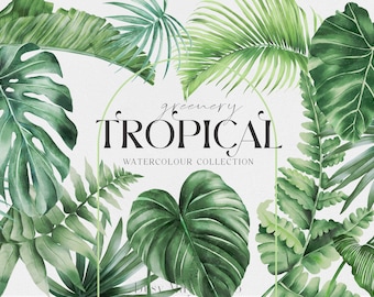 May include: Watercolor illustration of tropical greenery, featuring various types of leaves in shades of green. The text "greenery TROPICAL WATERCOLOUR COLLECTION" is displayed in the center of the image.