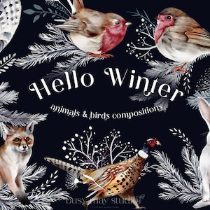 Winterdieren Vogels Boscomposities | Handgetekende illustraties | Winter Kerstuilen Bunny Fox Illustraties | Schattige winterdieren png