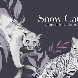 Compositions hivernales de chats des neiges | Illustrations aquarelles dessinées à la main de tigre blanc | Forêt Chats sauvages Hiver | Botaniques d’hiver Clip Art PNG