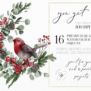 Puede incluir: Ilustraci&oacute;n de acuarela de 16 elementos navide&ntilde;os, incluyendo un petirrojo, bayas, hojas de acebo y pi&ntilde;as. La ilustraci&oacute;n es perfecta para crear dise&ntilde;os navide&ntilde;os digitales o impresos.