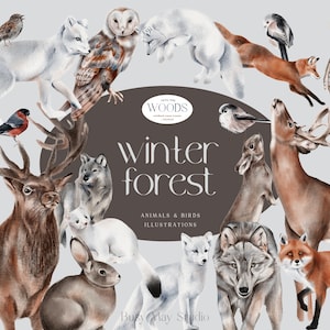 Winter Forest Dieren | Kerstvakantie Decor | Kerstkaart Maker | Handgetekende dieren | bos Dieren en vogels | Hertenuil Vos PNG