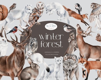 Animales del bosque de invierno / Decoración de vacaciones de Navidad / Fabricante de tarjetas de Navidad / Animales dibujados a mano / Animales y aves del bosque / Zorro búho ciervo PNG