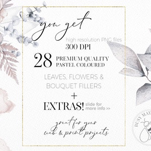 Puede incluir: Una ilustraci&oacute;n digital de 28 hojas, flores y rellenos de ramo de color pastel. La imagen incluye el texto "you get", "high resolution PNG files", "300 DPI", "PREMIUM QUALITY", "PASTEL COLOURED", "LEAVES, FLOWERS & BOUQUET FILLERS", "+", "EXTRAS!", "slide for more info >>", "great for your web & print projects", y "BUSY MAY STUDIO".
