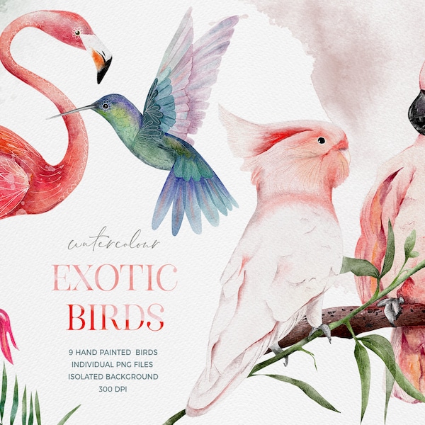 Aquarell exotische Vögel, tropische Vögel Aquarell Cliparts | Papagei Toucan Flamingo | Paradies | Hand gezeichnet | Hand bemalt Clip Arts