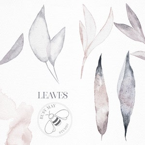 Puede incluir: Un conjunto de ilustraciones de acuarela de hojas en tonos grises y rosados. Las hojas est&aacute;n dispuestas en una variedad de formas y tama&ntilde;os. El texto "LEAVES" est&aacute; escrito en negro en la parte inferior de la imagen. Tambi&eacute;n se incluye un logotipo para "Busy May Studio".