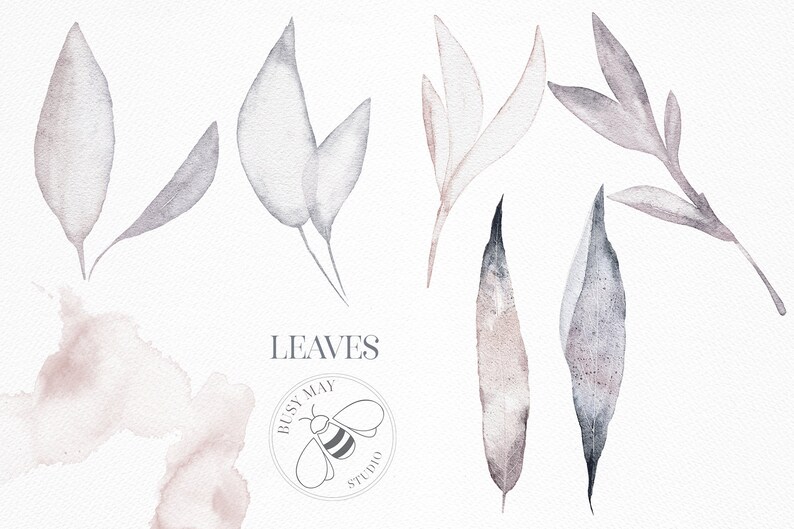 Puede incluir: Un conjunto de ilustraciones de acuarela de hojas en tonos grises y rosados. Las hojas est&aacute;n dispuestas en una variedad de formas y tama&ntilde;os. El texto "LEAVES" est&aacute; escrito en negro en la parte inferior de la imagen. Tambi&eacute;n se incluye un logotipo para "Busy May Studio".