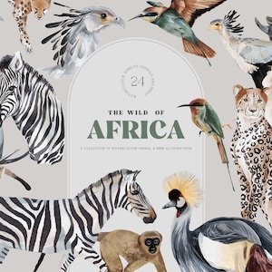 Animali selvatici dell'Africa Illustrazioni PNG Logo Elementi Leone Safari Savannah Giungla Vita selvaggia Animali disegnati a mano Elefante Zebra