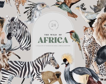 Animales salvajes de África Ilustraciones PNG Logo Elementos León Safari Savannah Jungla Vida silvestre Animales dibujados a mano Elefante Cebra