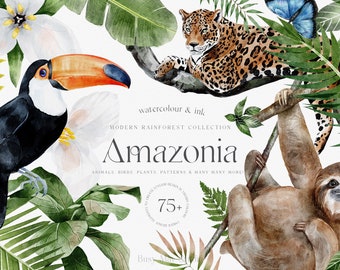 Acuarela Rainforest Tropical Collection / Jungle Animals Plants Flowers / Parrots Sloth Toucan Butterfly / Seamless Patterns Papers PNG