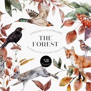 Autumn Forest Aquarel Collectie | Bosdieren Vogels | Vogels van Groot-Brittannië | Wilde dieren | Fox Owl Rabbit Duck | PNG-illustraties