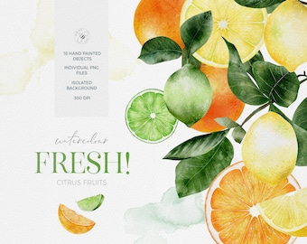 Frutas aquarela frutas cítricas folhas aquarela cliparts | Limão Laranja Limão | Folhas cítricas | Desenhado à mão | Clip-arts pintados à mão frescos